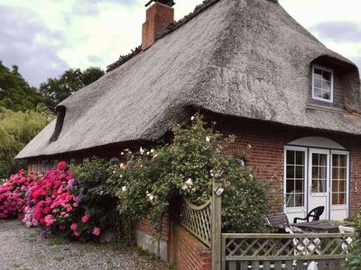 Ferienhaus für 4 Personen (54 m²) in Dörphof 5/10