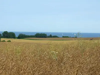 Ferienhaus für 6 Personen (100 m²) in Dörphof 6/10