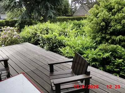 Ferienhaus für 4 Personen in Dörphof 2/10