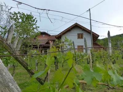 Ferienhaus für 4 Personen (42 m²) in Dragatus 2/10