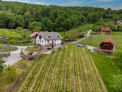 Luftaufnahme des Hauses und des Weinbergs