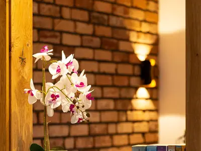 Ferienhaus Reethaus Nordlicht - Wohnbereich