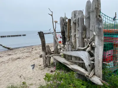 Ferienhaus für 4 Personen (60 m²) in Dranske 4/10