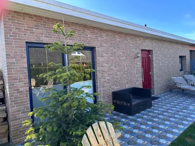 Ferienhaus für 2 Personen (38 m²) in Dranske 4/10