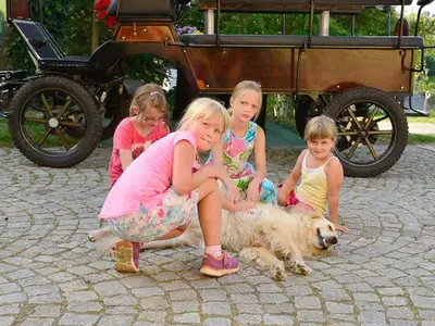 Ferienhaus für 4 Personen (91 m²) in Drebach 10/10
