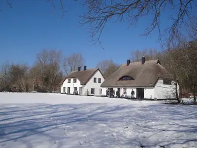 Ferienhaus für 14 Personen (160 m²) in Dreschvitz 6/10