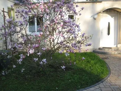 Ferienhaus für 4 Personen (60 m²) in Dresden 5/10