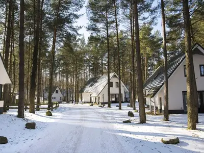 Ferienhaus für 6 Personen (95 m²) in Drewitz 2/10