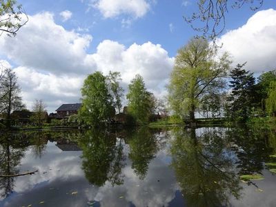 Ferienhaus für 5 Personen (91 m²) in Drochtersen 4/10