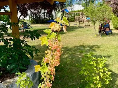 Ferienhaus für 5 Personen (90 m²) in Ducherow 4/10