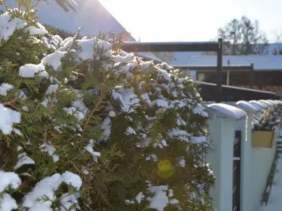 Ferienhaus für 5 Personen (90 m²) in Ducherow 5/10