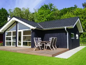 Ferienhaus für 6 Personen (80 m²) in Dümmer See