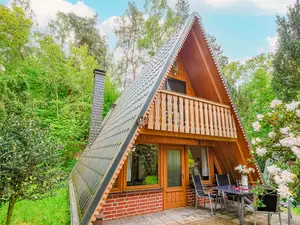 Ferienhaus für 4 Personen (40 m²) in Dümmer See