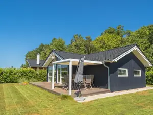 Ferienhaus für 6 Personen (80 m²) in Dümmer See