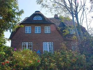 21707625-Ferienhaus-8-Dunsum-300x225-1