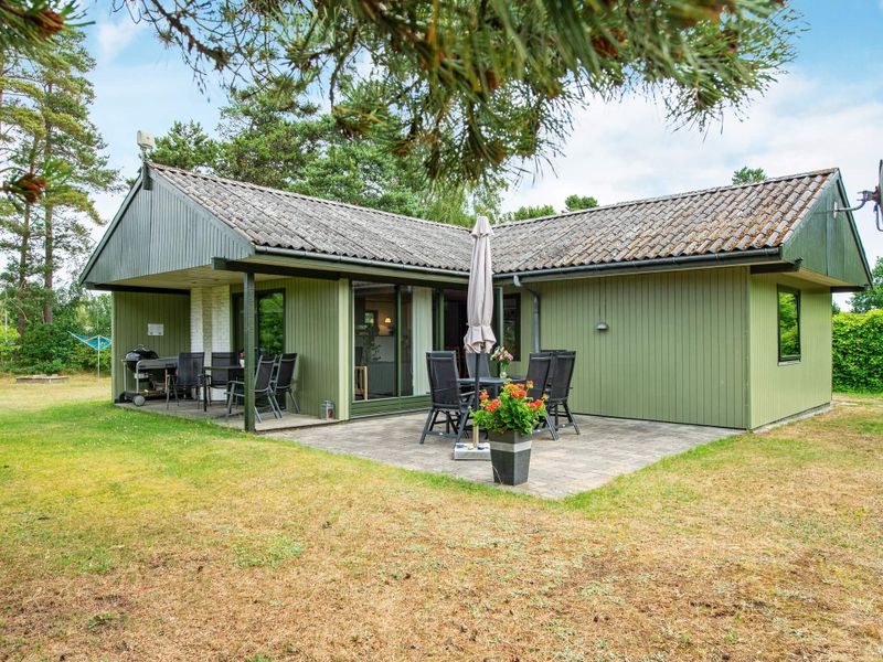 22383259-Ferienhaus-6-Ebeltoft-800x600-0