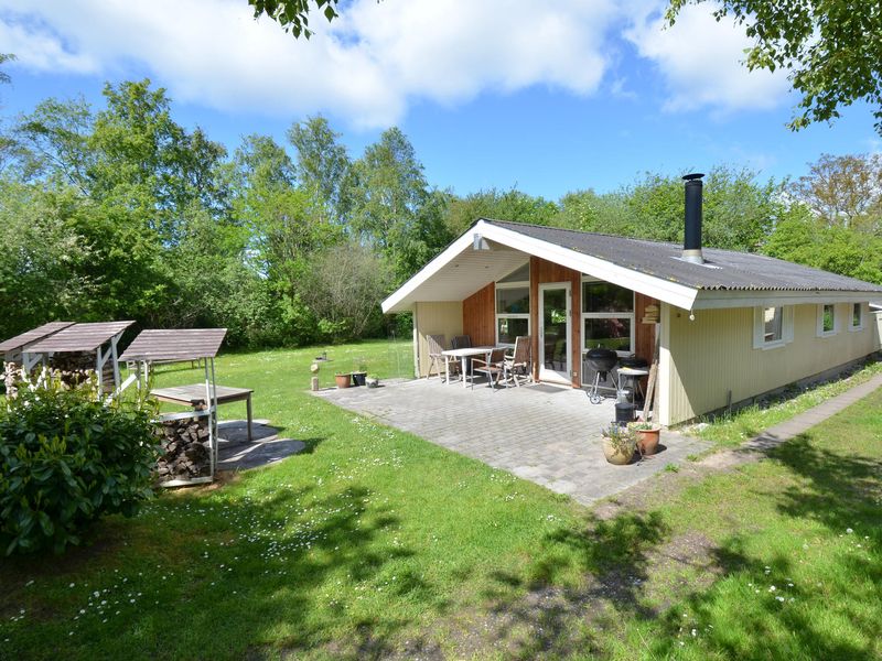 23723529-Ferienhaus-5-Ebeltoft-800x600-0