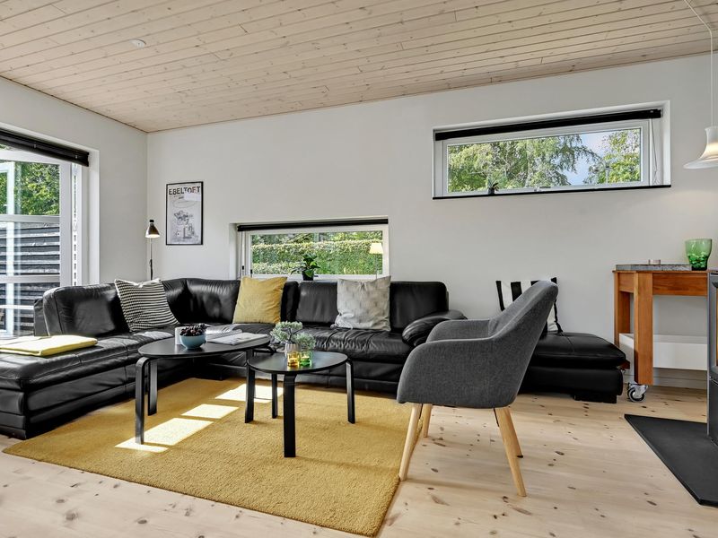 23722782-Ferienhaus-6-Ebeltoft-800x600-1