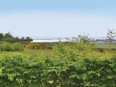 view-from-room