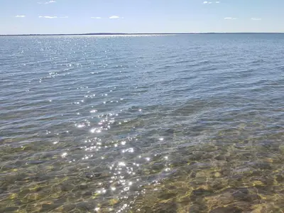 WaterView