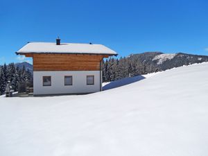 23847373-Ferienhaus-6-Eben im Pongau-300x225-5