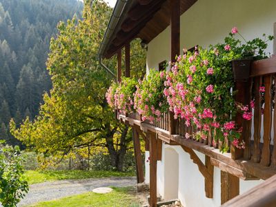 TerraceBalcony