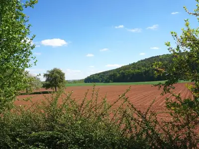 Ferienhaus für 12 Personen (250 m²) in Edertal 6/10