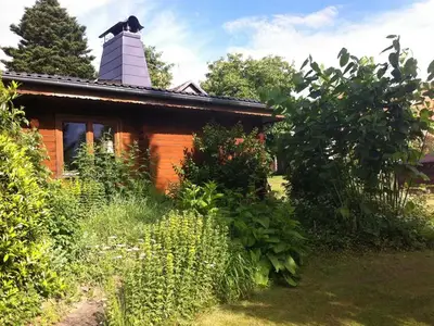 Ferienhaus für 4 Personen (84 m²) in Edertal 2/10