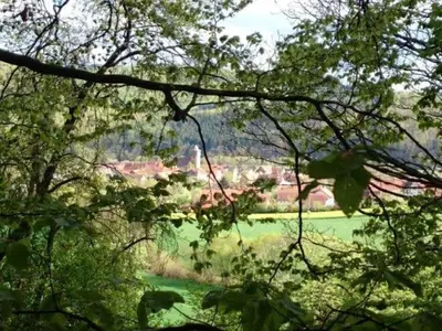 Ferienhaus für 4 Personen (84 m²) in Edertal 3/10