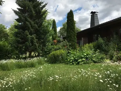 Ferienhaus für 4 Personen (84 m²) in Edertal 4/10