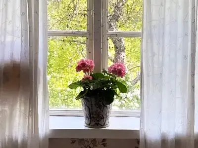 Indoor