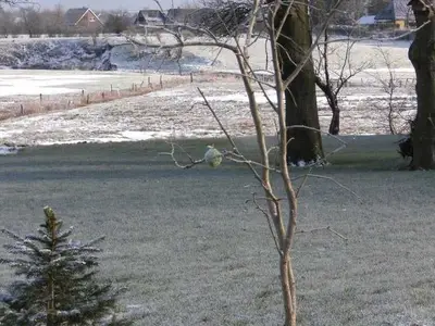 Ferienhaus für 6 Personen (120 m²) in Eggebek 3/10