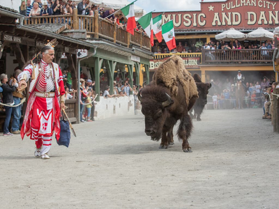 Pullman CIty.jpg