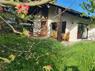 Ferienhaus für 13 Personen (105 m²) in Egloffstein 4/10