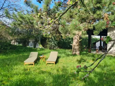 Ferienhaus für 13 Personen (105 m²) in Egloffstein 5/10