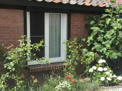 ExteriorSummer