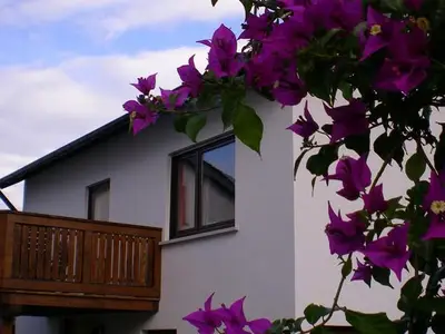 Ferienhaus für 2 Personen (65 m²) in Ehrenberg (Hessen) 3/10