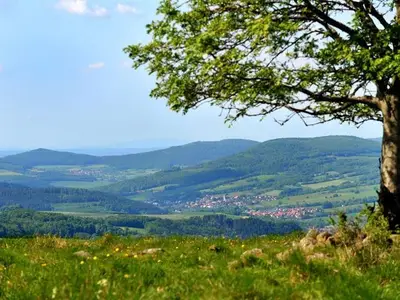 Ferienhaus für 2 Personen (65 m²) in Ehrenberg (Hessen) 9/10