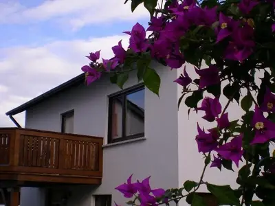 Ferienhaus für 2 Personen (60 m²) in Ehrenberg (Hessen) 2/10