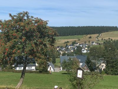 Vogelbeerbaum unterm Haus im Herbst Skihang