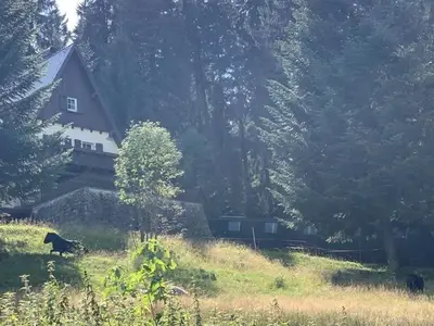 Ferienhaus für 10 Personen (270 m²) in Eibenstock 6/10