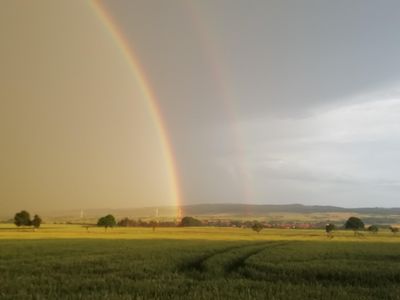 Blick aus dem Fenster