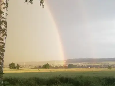 Ferienhaus für 6 Personen (85 m²) in Einbeck 8/10