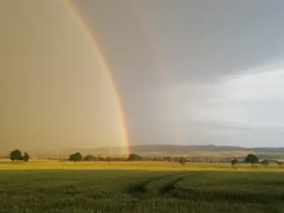 Blick aus dem Fenster