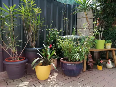 Ferienhaus für 2 Personen (68 m²) in Kreisfreie Stadt Eisenach 2/10
