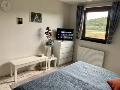 Ferienhaus für 12 Personen (107 m²) in Eisenach (Thüringen) 8/10