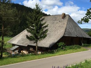 Ferienhaus für 22 Personen (200 m²) ab 400 € in Eisenbach