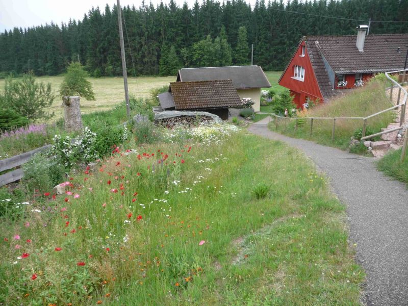 18711933-Ferienhaus-4-Eisenbach-800x600-1