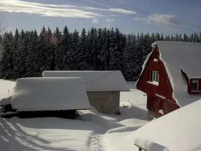 Garten Nordseite