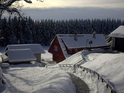 Nordseite Garten